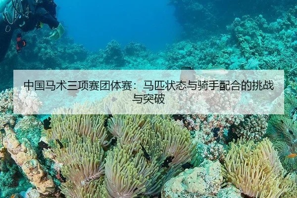 中国马术三项赛团体赛：马匹状态与骑手配合的挑战与突破