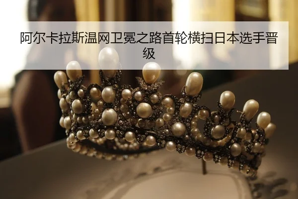 a-er-ka-la-si-wen-wang-wei-mian-zhi-lu-shou-lun-heng-sao-ri-ben-xuan-shou-jin-ji-2-585.jpg