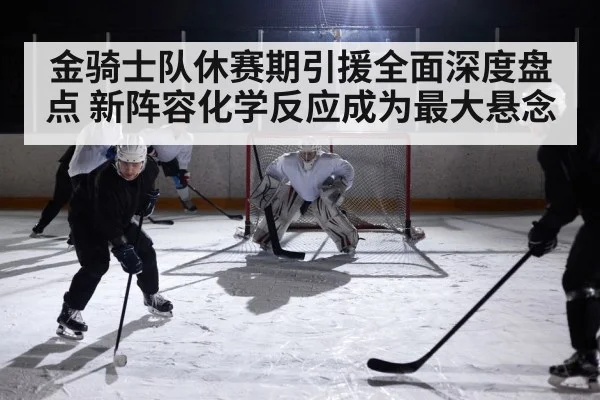 金骑士队休赛期引援全面深度盘点 新阵容化学反应成为最大悬念